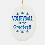 Volleyball is the Greatest Christmas Ornaments