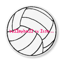 volleyball mag. magnets