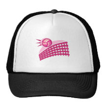 Volleyball & net hat