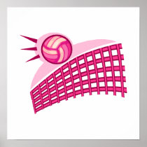 Volleyball & net posters