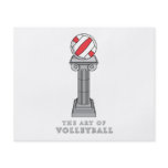 volleyball on a pedestal flyers