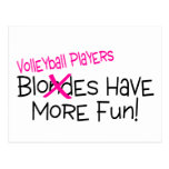 Volleyball Players Have More Fun Postcards