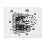 volleyball power flyers