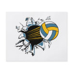 volleyball ripping through blue and gold flyers