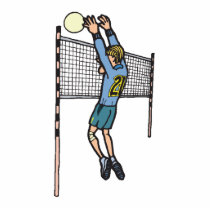 volleyball spike mens volley cartoon graphic photo sculptures