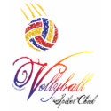 Volleyball Spiker Chick t-shirts