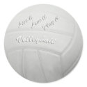 Volleyball Stickers sticker