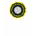 Volleyball T t-shirts