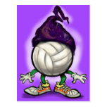 Volleyball Wizard Post Cards