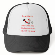 VolleyChick Dear Santa 1 side Trucker Hat