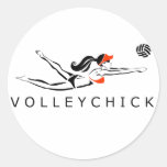 VolleyChick DiveChick 2010 Stickers