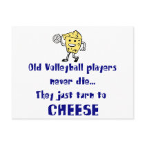 VolleyChick's Cheese Post Card