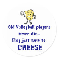 VolleyChick's Cheese Round Stickers