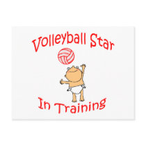 VolleyChick's VolleyBaby Post Card