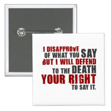 Voltaire Quote (Color) Pins