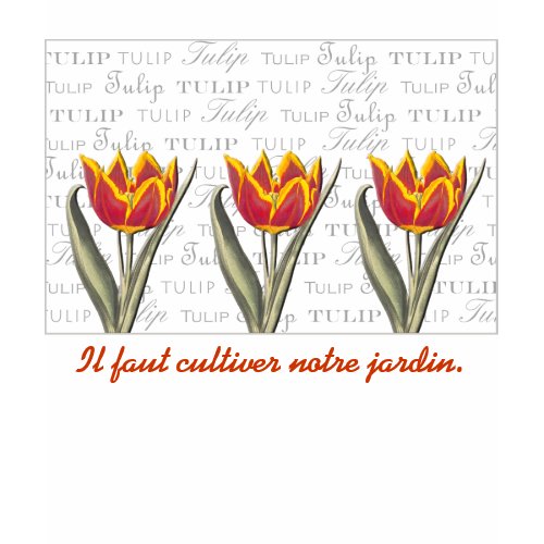 Gardener’s T-Shirt with Voltaire Quote “Il faut cultiver notre jardin”