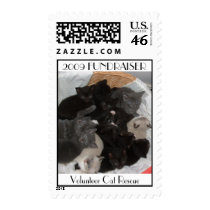 Volunteer Cat Rescue 2009 FUNDRAISER postage