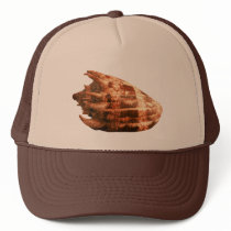 Volute Imperialis hats by roimim Volute Imperialis hats