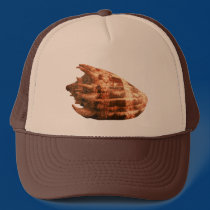 Volute Imperialis hats