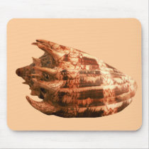 Volute Imperialis mousepads