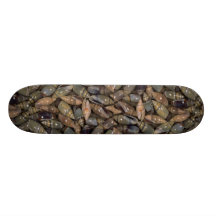 Volute-shaped olivella (Olivella volutella) Shell Skate Board Deck