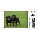 Von Aufstand Rottweilers postage