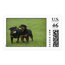 Von Aufstand Rottweilers postage