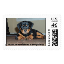 Von Aufstand Rottweilers postage by Sholcroft Von Aufstand Rottweilers postage