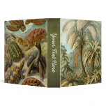 Von Haeckel Two Binders