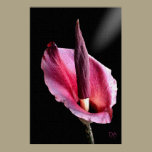 Voodoo Lily Prints posters