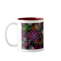 Vortex mugs