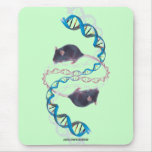 Vortex Mus Musculus Mousepad