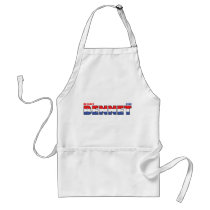 Vote Bennet 2010 Elections Red White and Blue Apron