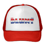 Vote Blunt 2010 Elections Red White and Blue Trucker Hat