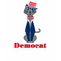 Vote Democat t-shirts