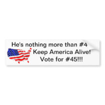 Vote for #45 bumper sticker