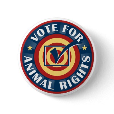 Vote for Animal Rights Button
