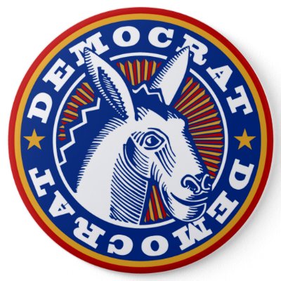 VOTE FOR DEMOCRATS PIN
