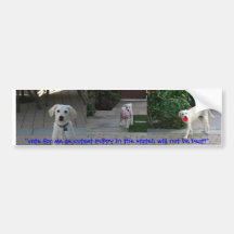 "vote for me as cute puppy!" bumper sticker