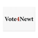 Vote for Newt