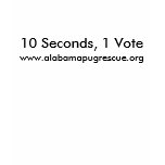 Vote for Ten Shirts