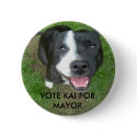 VOTE KAI FOR MAYOR buttons