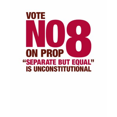 Vote No on California Proposition 8 Shirts by noprop8