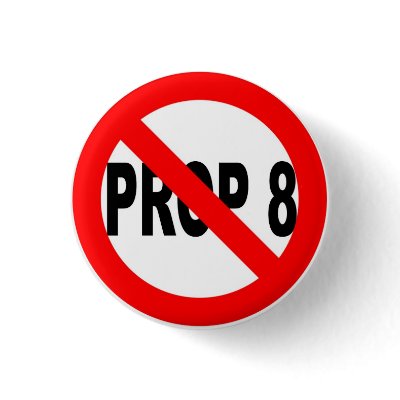 Vote No on Prop 8 Button by erin_the_marvelous
