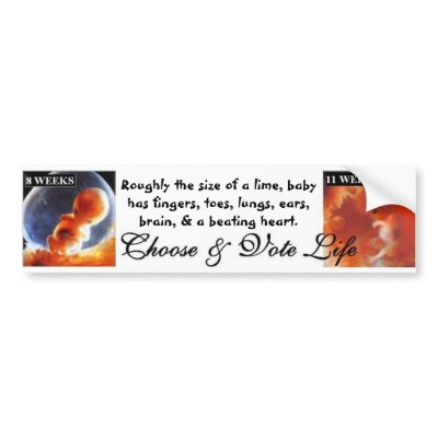 Vote Pro Life: They can't protect themselves Bumper Stickers by neebz85