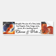 Vote Pro Life: They can't protect themselves Bumper Stickers