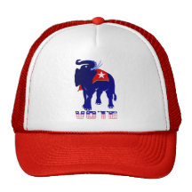 Vote Republican Hat