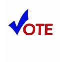 Vote Shirt