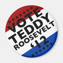 VOTE TEDDY In AUGHT 12! Fridge Magnets
