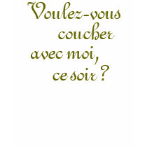 Voulez-vous? Funny gag t-shirt by dizzypixels Voulez-vous? Funny gag t-shirt